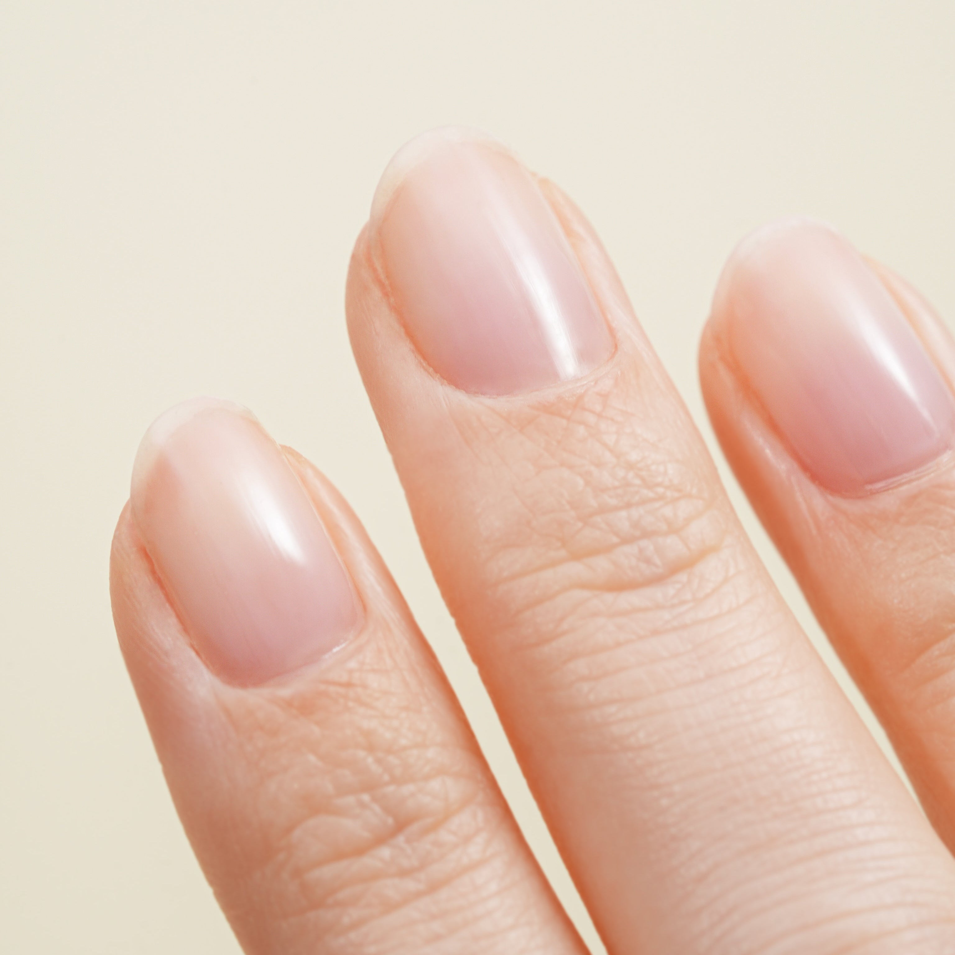 36W グリーンフラッシュ スターターキット H&D 51039