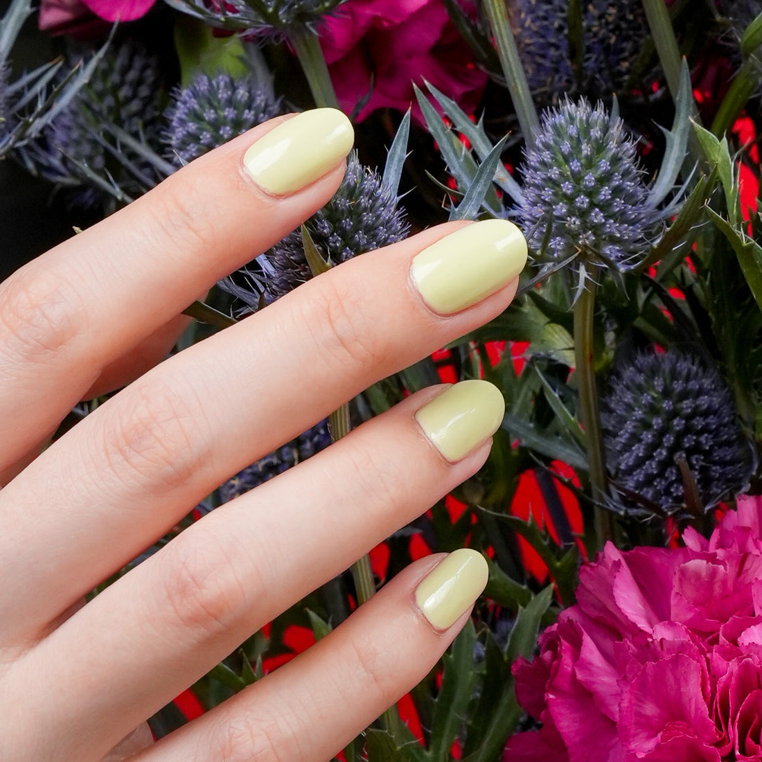 グリーンフラッシュ ネイルラッカー ピスタチオ 51691