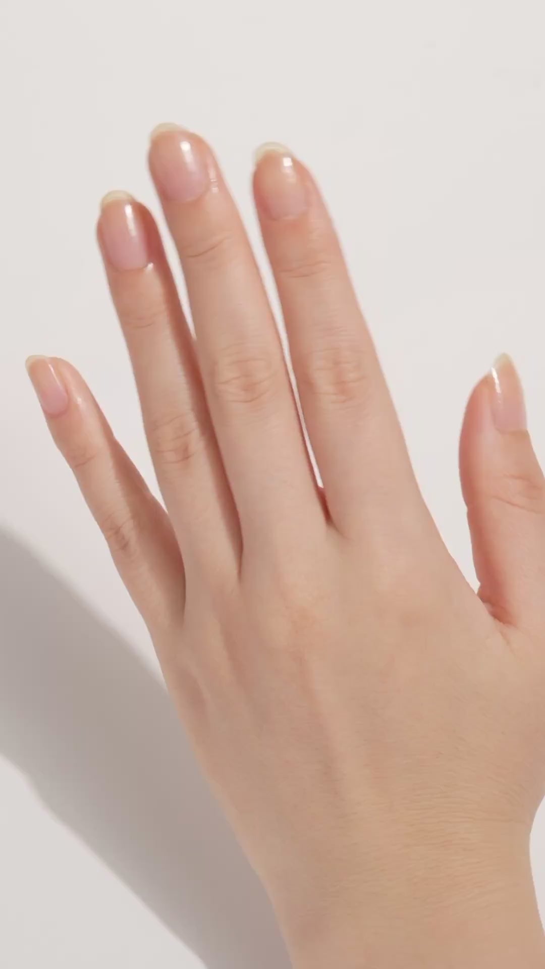 マジカル ネイル コレクション 限定BOXセット 00164