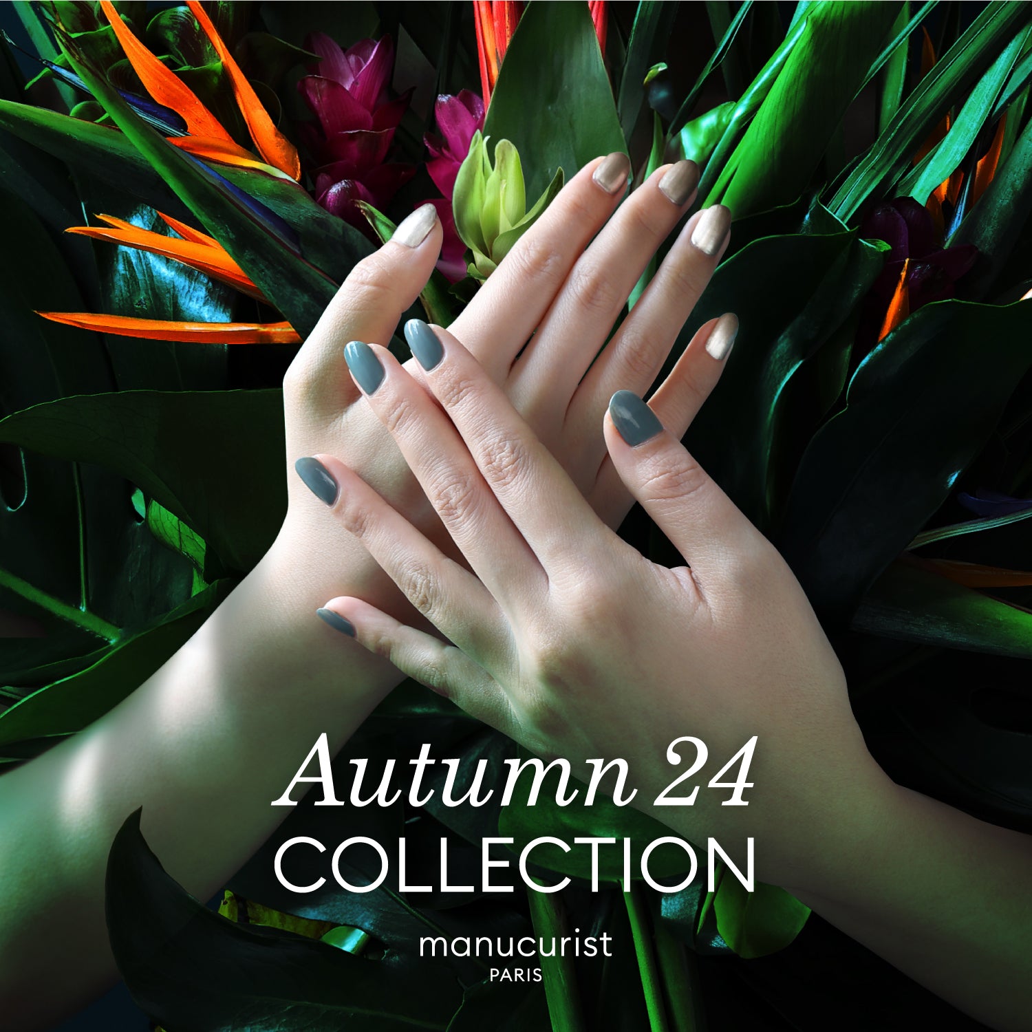 Autumn Collection2024