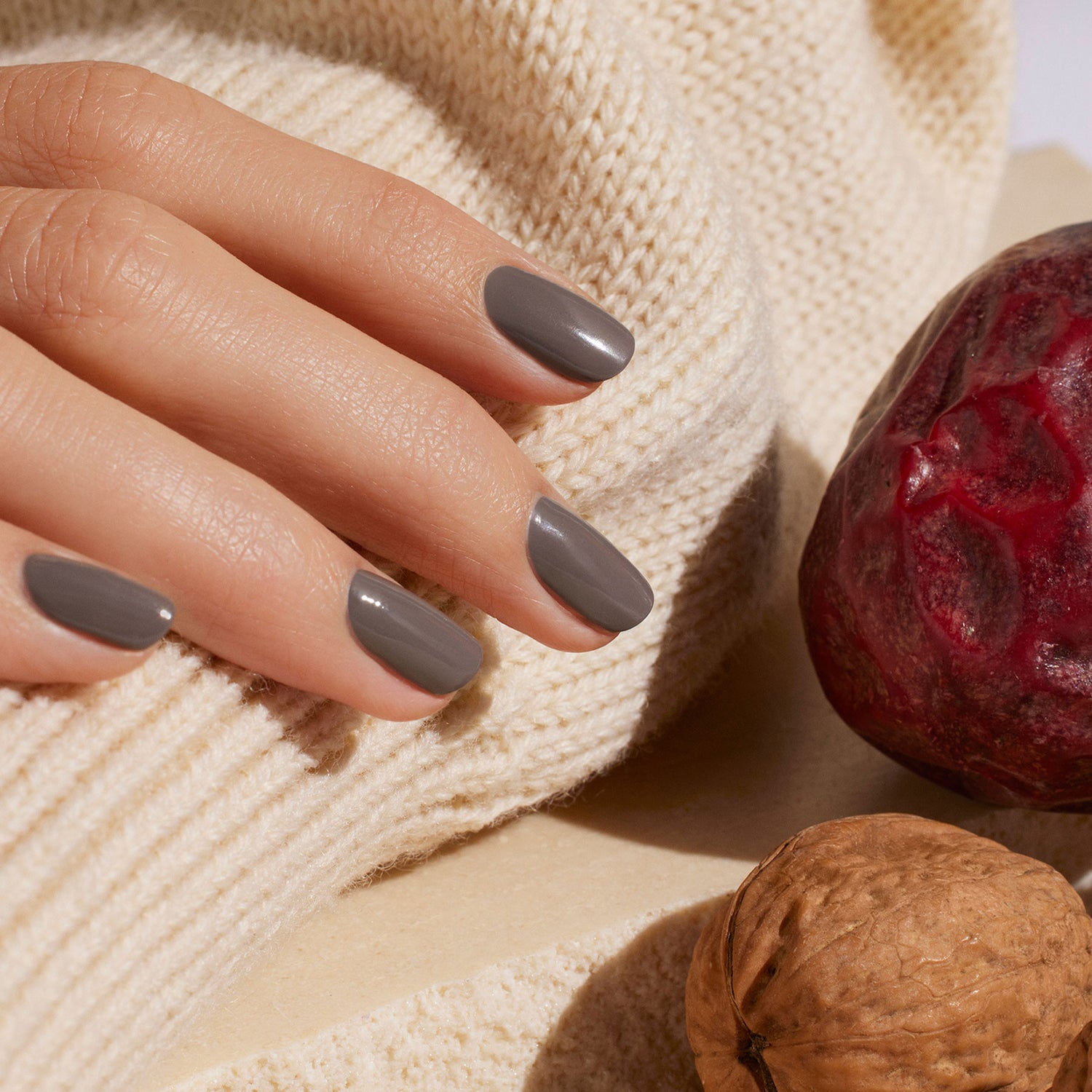 Wild Winter COLLECTION
