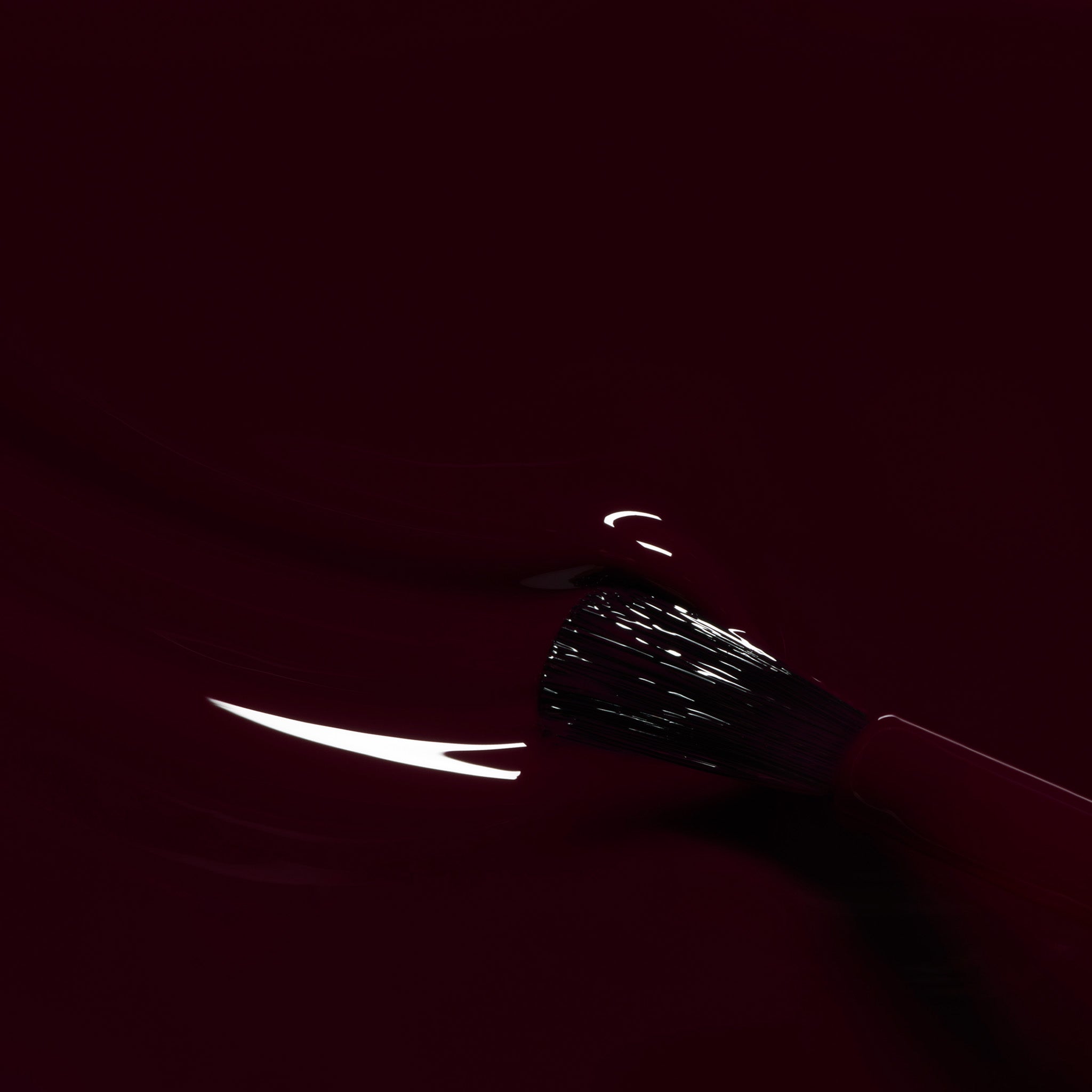 Holiday DUO  2025 〈グリーンフラッシュ〉 00188