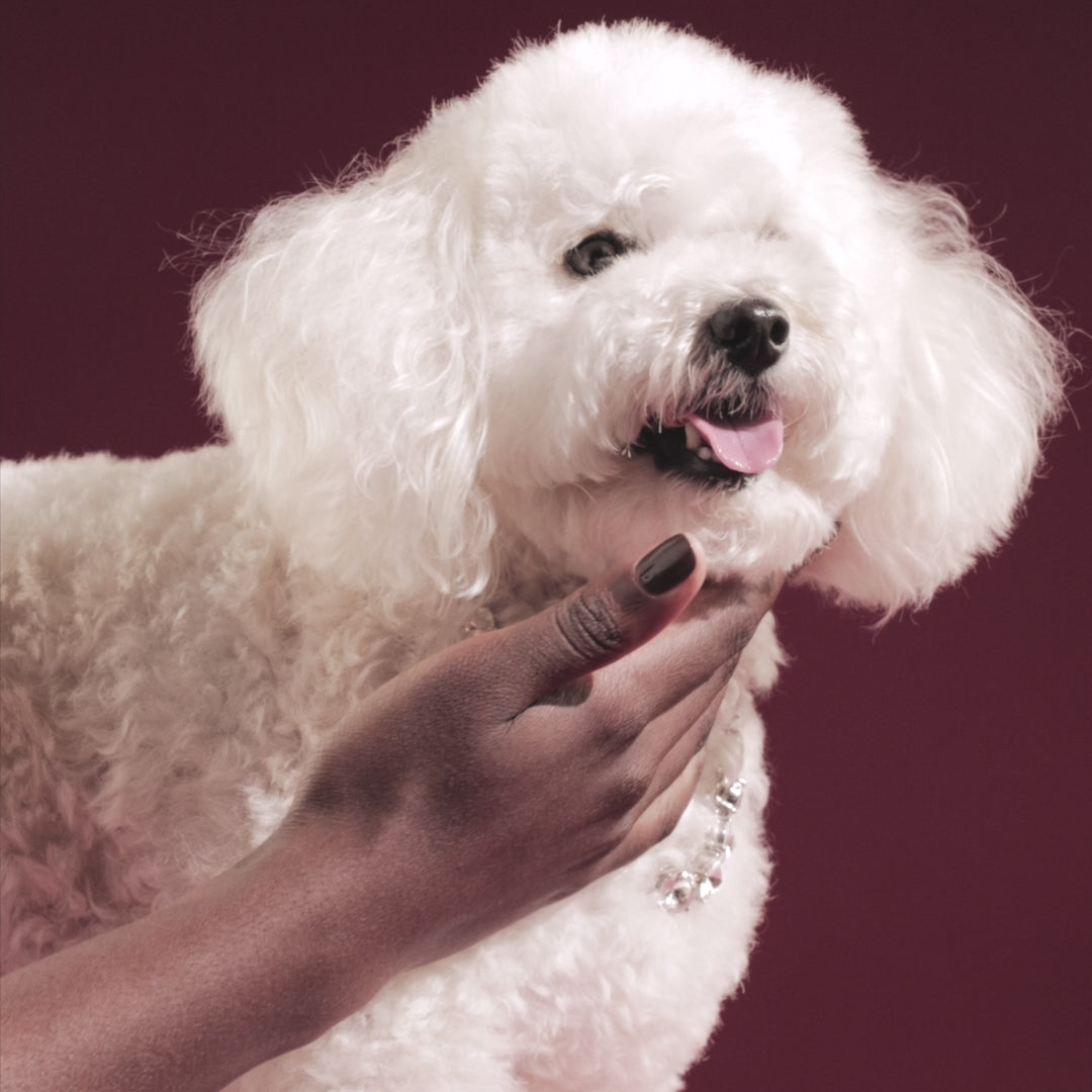 グリーンフラッシュ ネイルラッカー モカ 51681